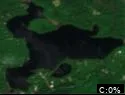 Bird Lake