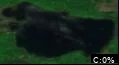 Lake Laura