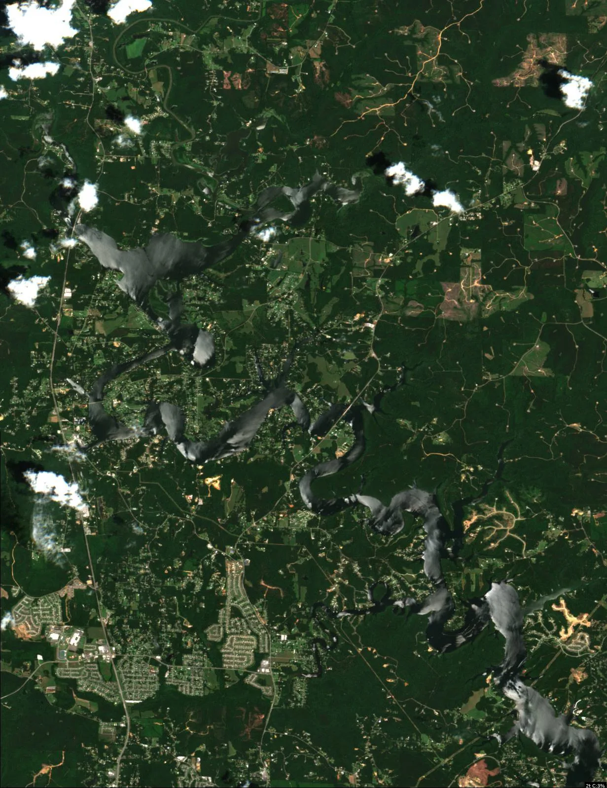 Lake Tuscaloosa