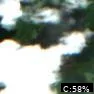 White Bass Lake
