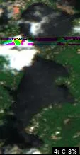 Yellow Birch Lake