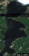 Yellow Birch Lake