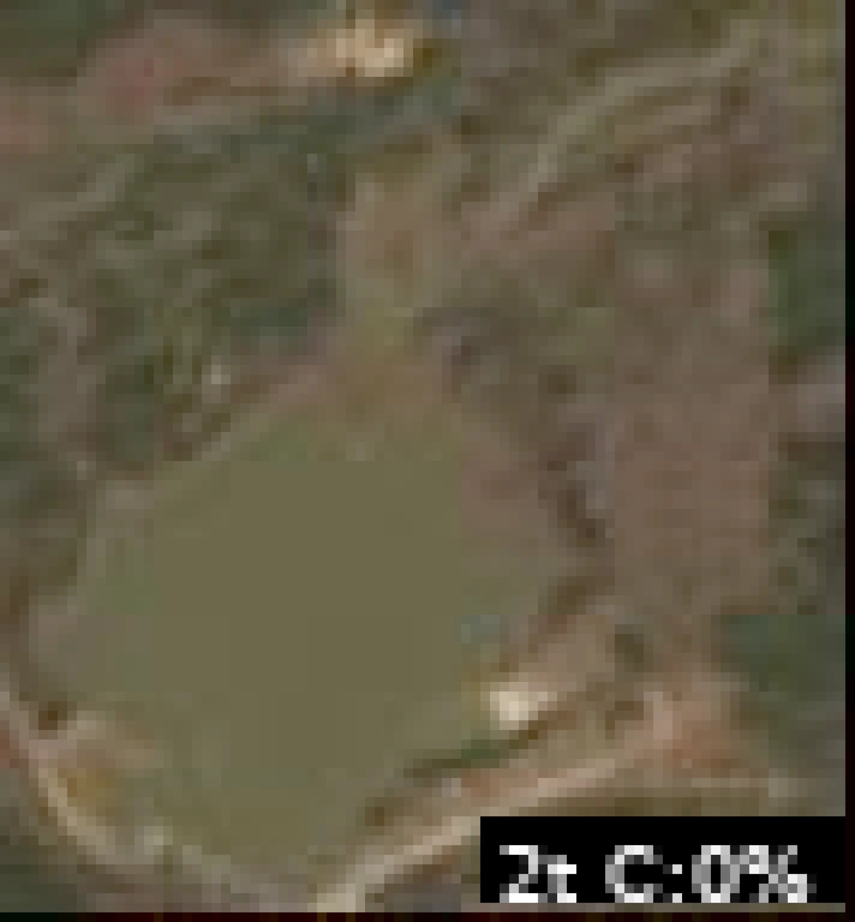 Lake Ozzie Cobb