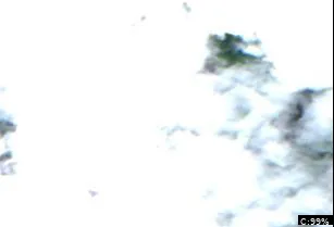 Mercer Lake