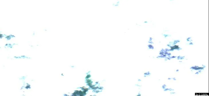 Pleasant Lake