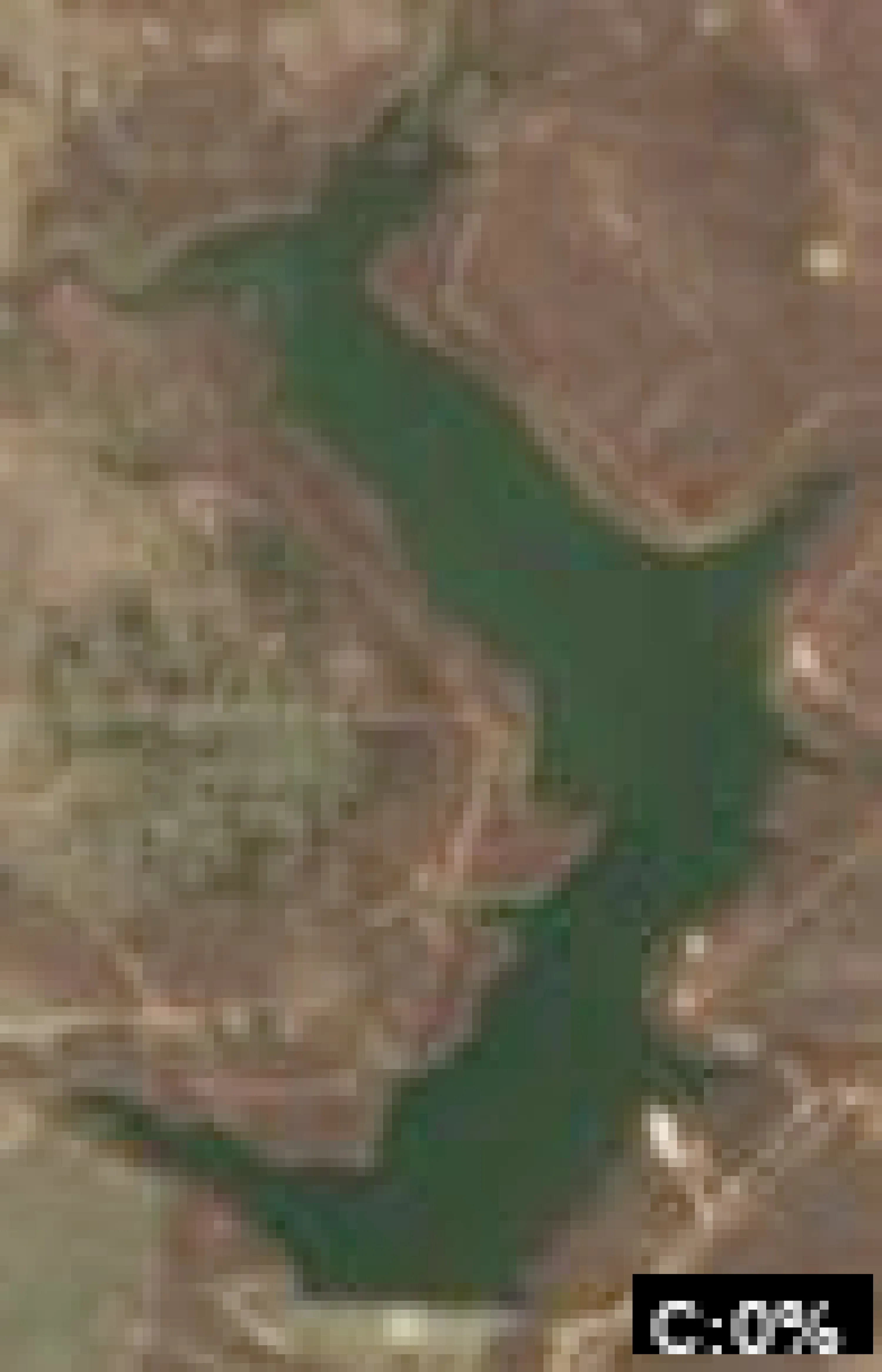 Lake Bryson
