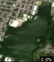 Cook Pond