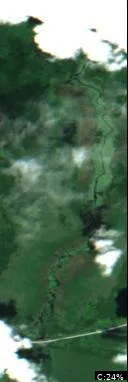Fairfield Swamp