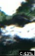 Pup Lake