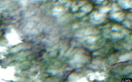 Lake Wilson