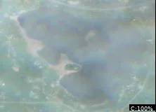Upper Spunk Lake