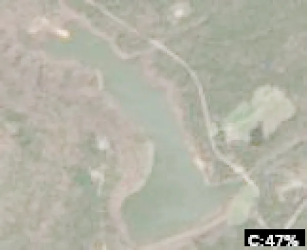 Lake Wayne Wallace
