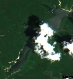 Laurel Hill Lake