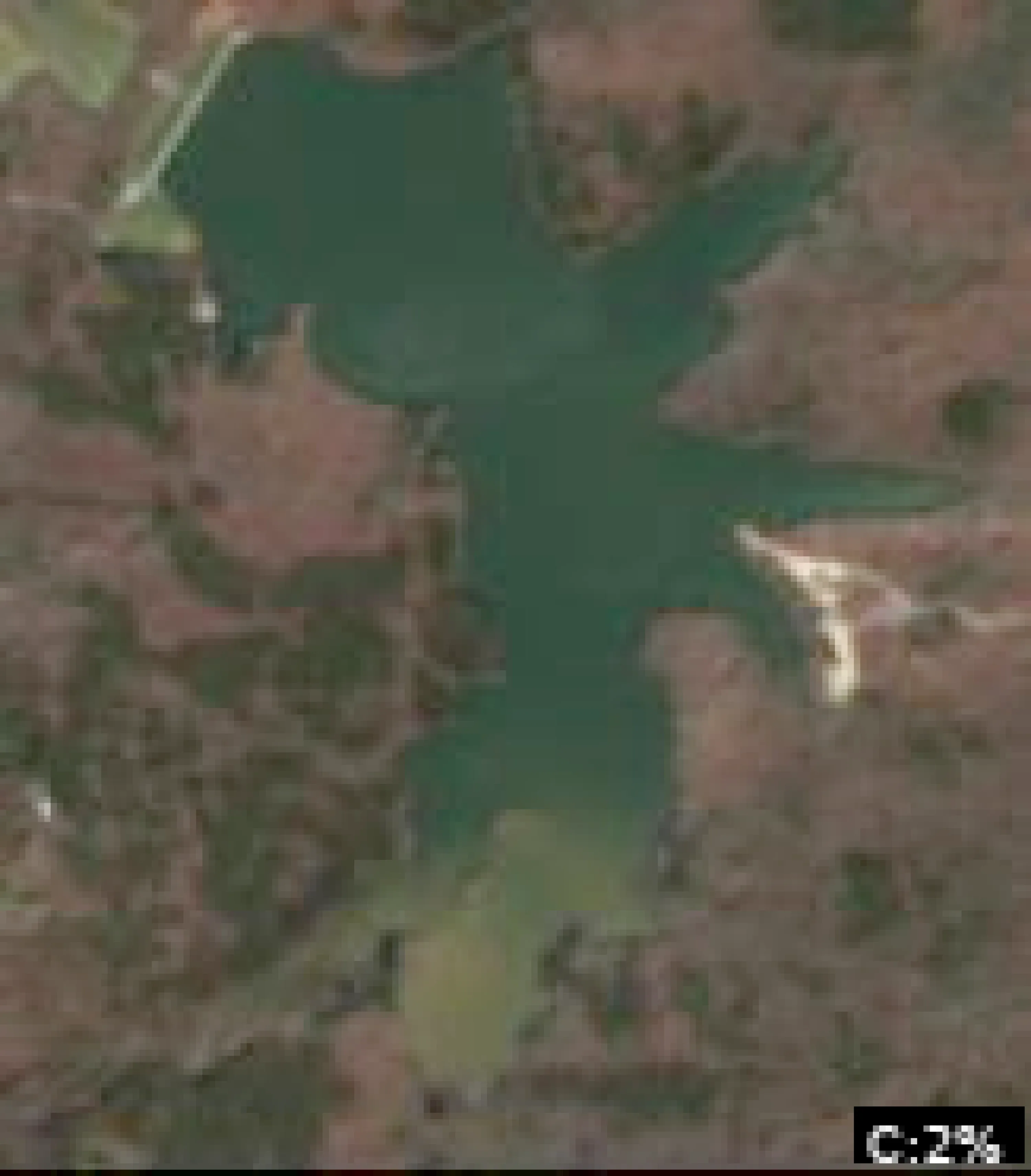 Sycamore Lake