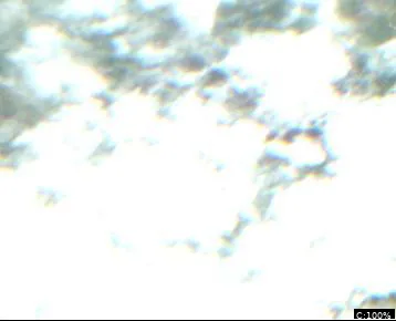 Lac Sault Dore