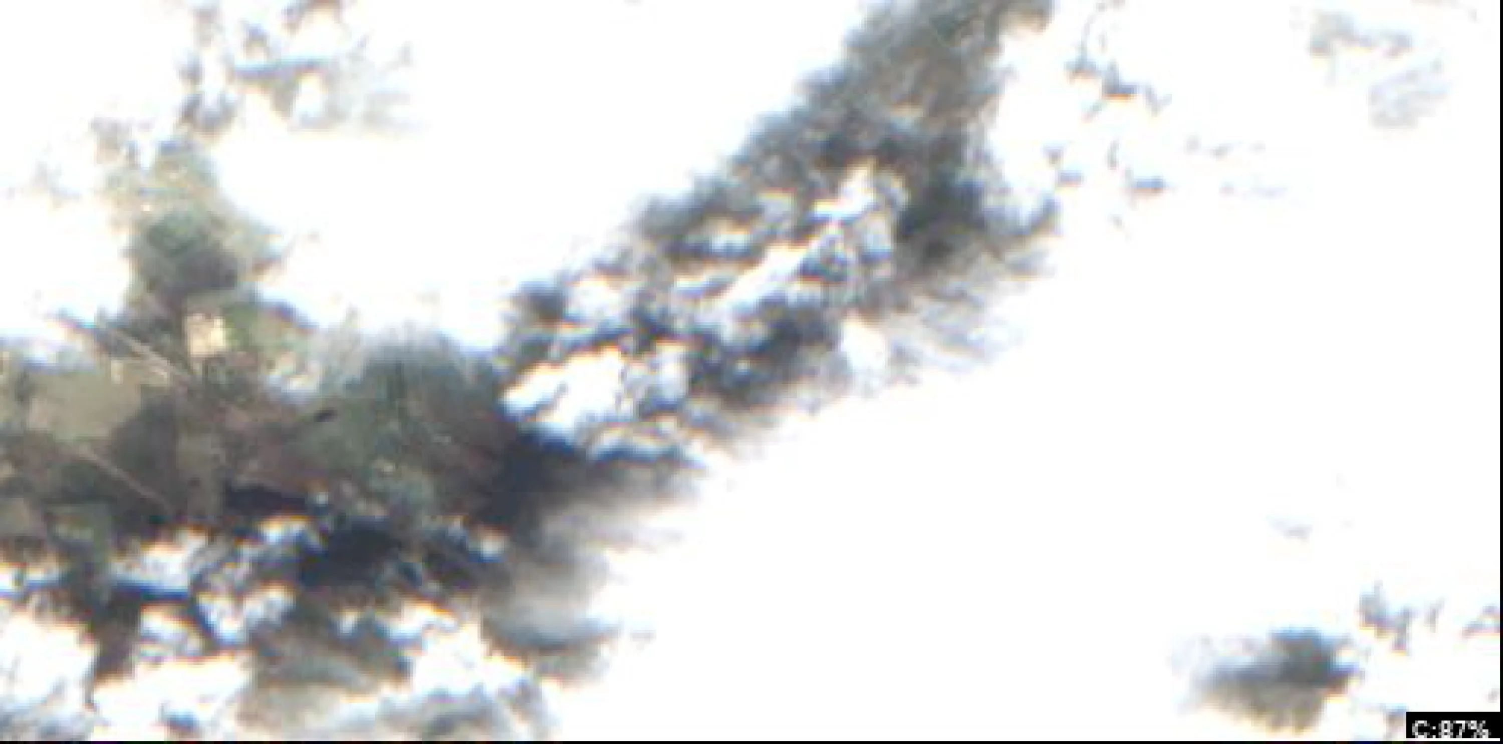 Lake Cohoon