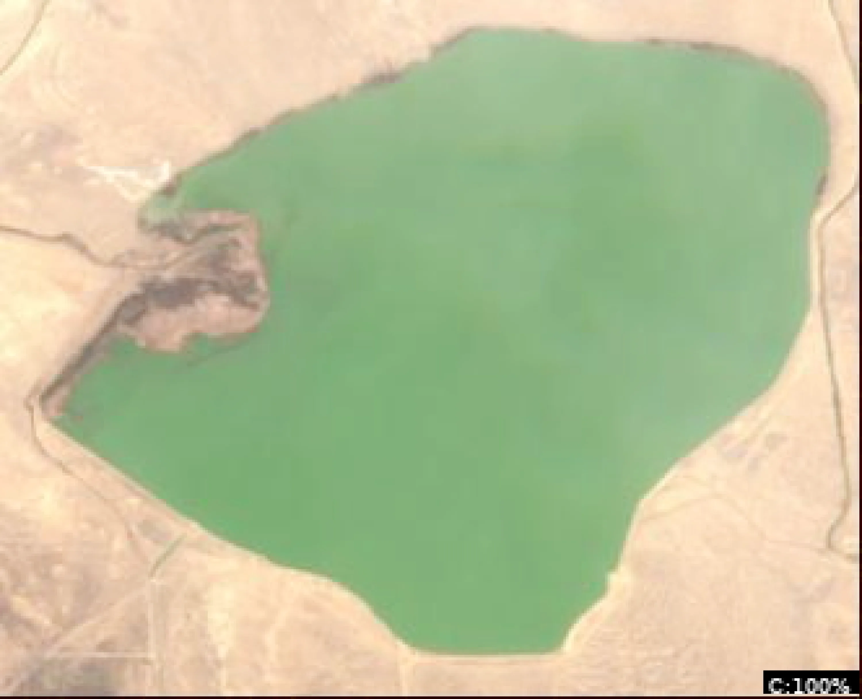 Lake Henry