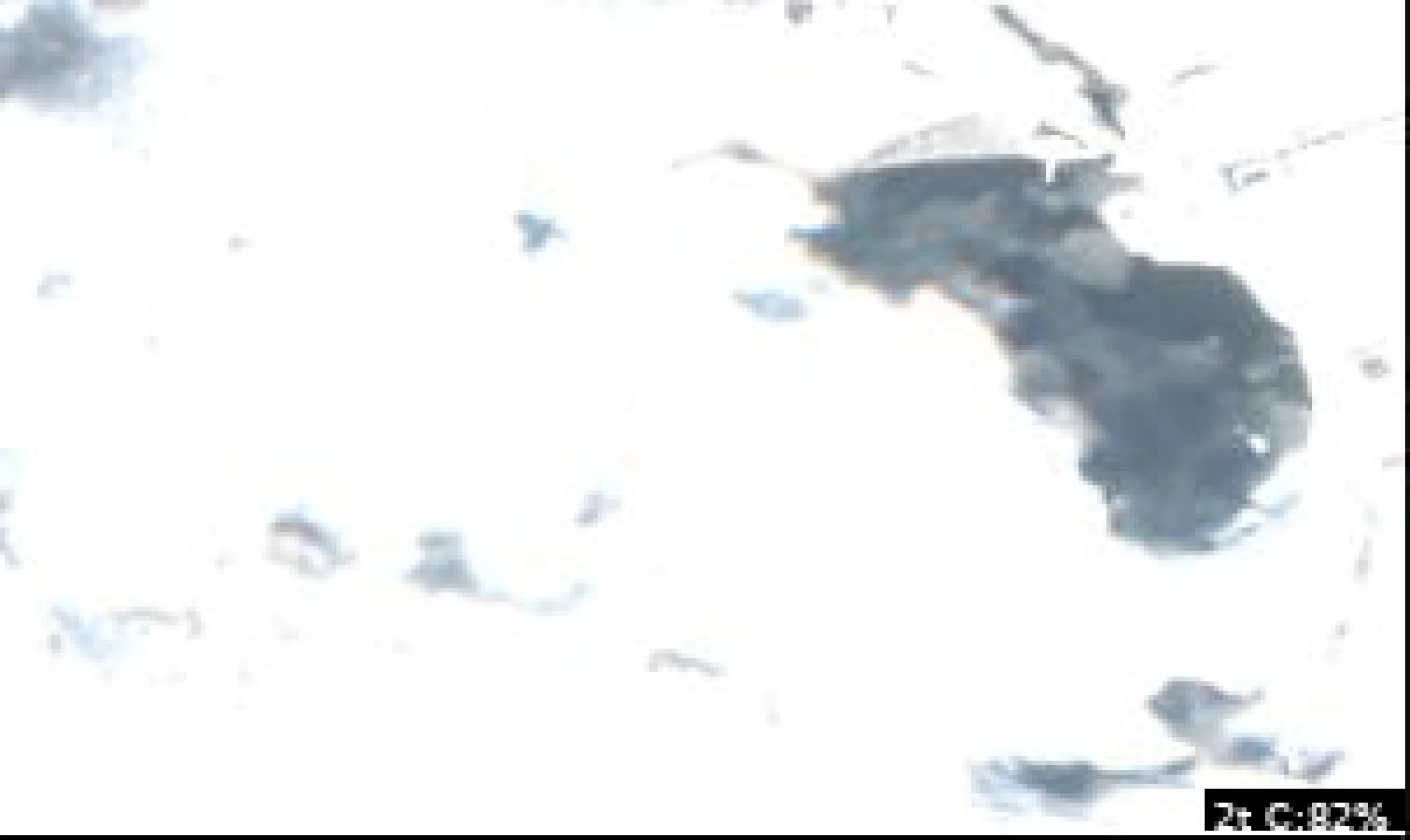 Lake Neatahwanta
