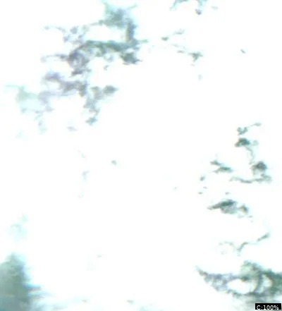 Lake Groton
