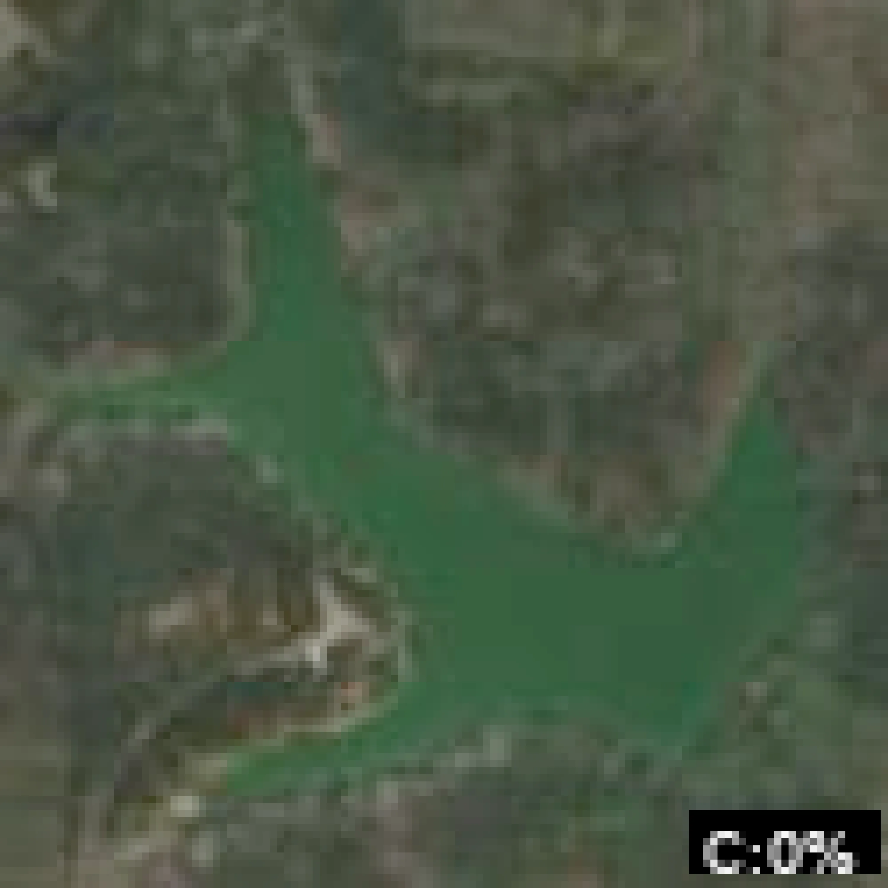 Dale County Public Lake