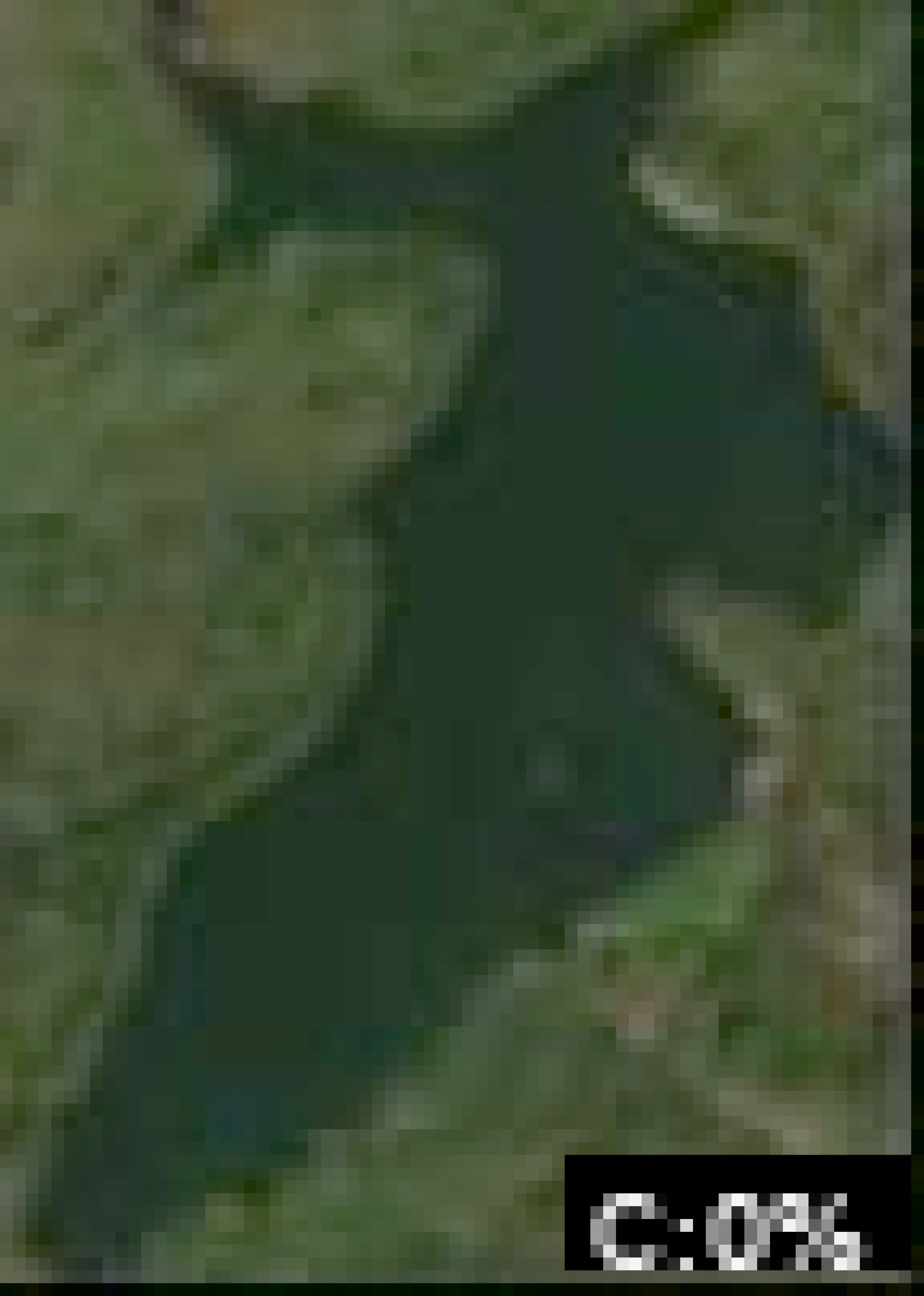 Lake Madigan