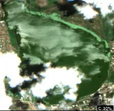 Lake Alfred