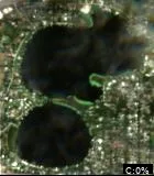 Lake Gertrude