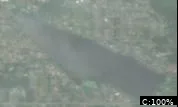 Lake Meridian