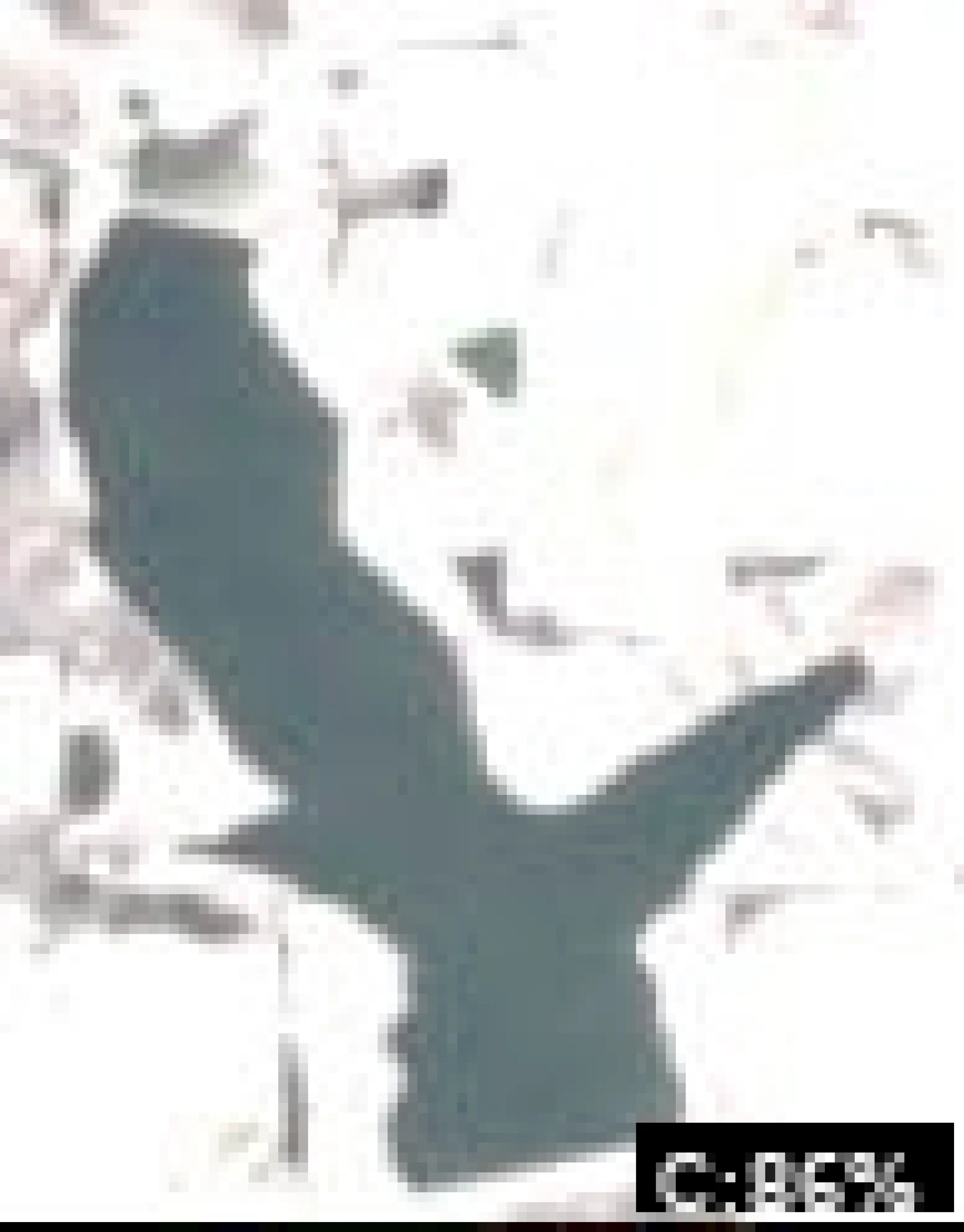 Lake Binder