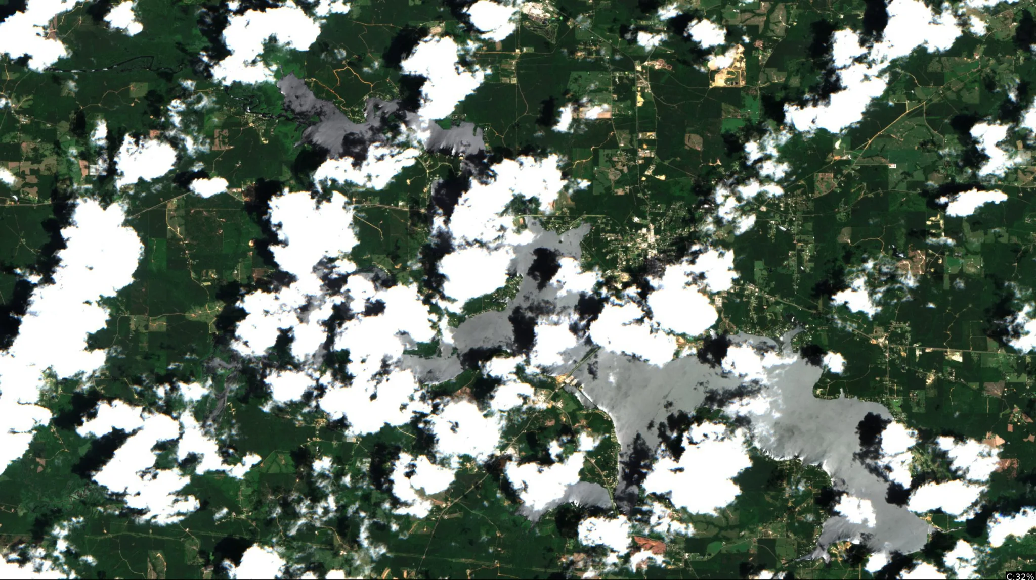Bayou D'Arbonne Lake