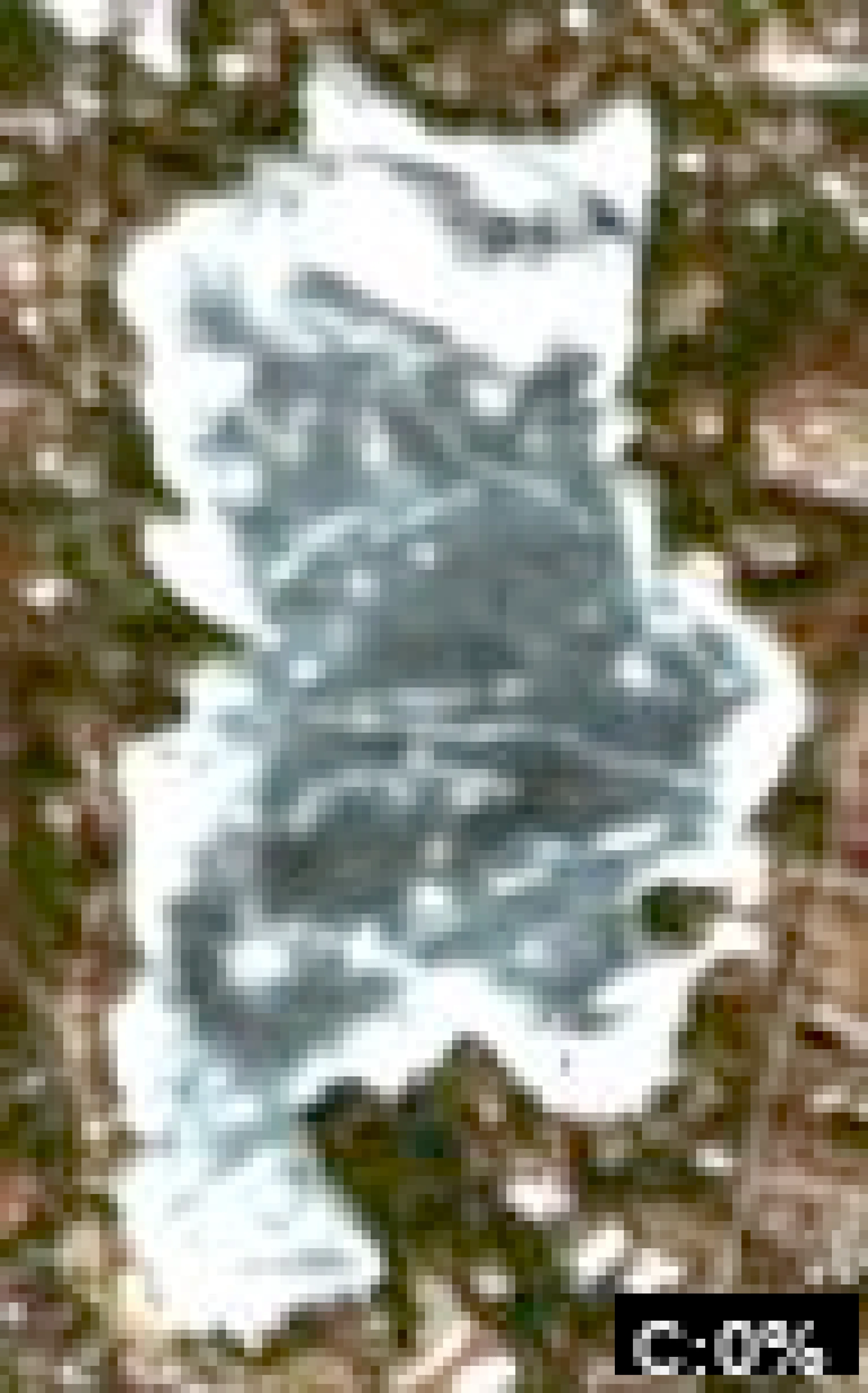 Crystal Lake