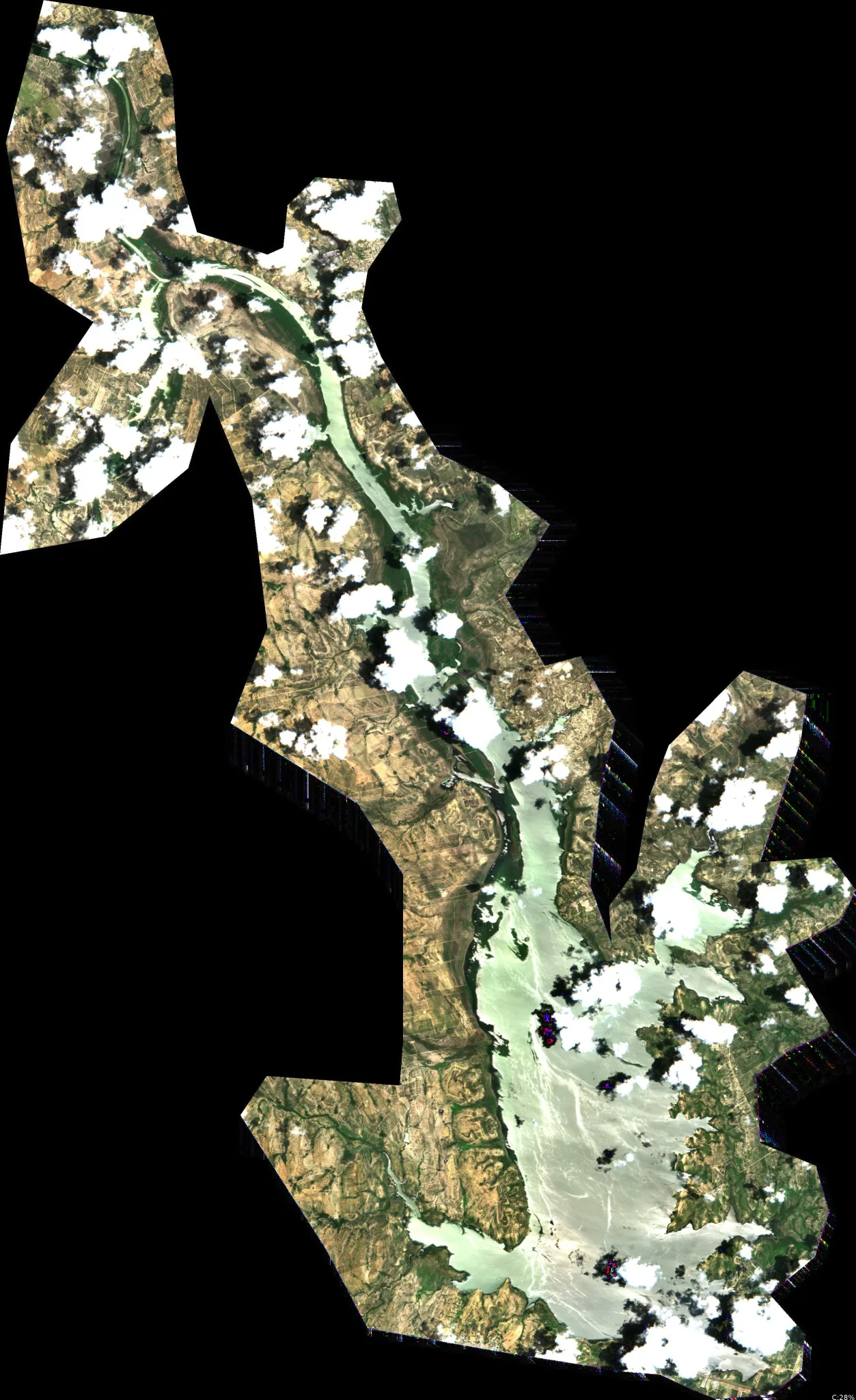 Falcon Lake