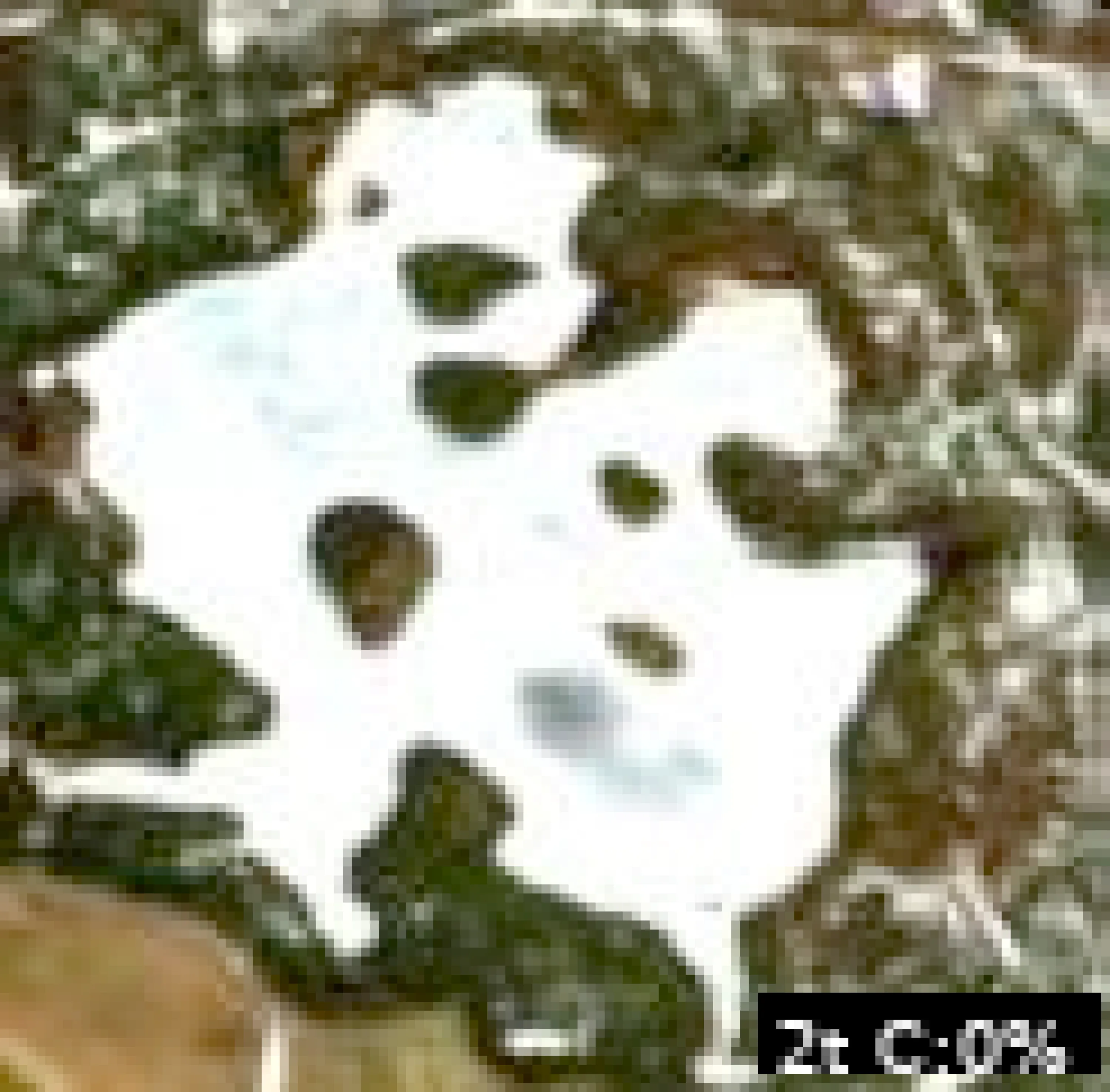 Lake Murdock (Hatfield Pond)