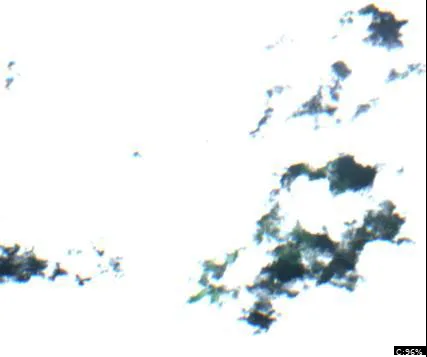 Lake Crook
