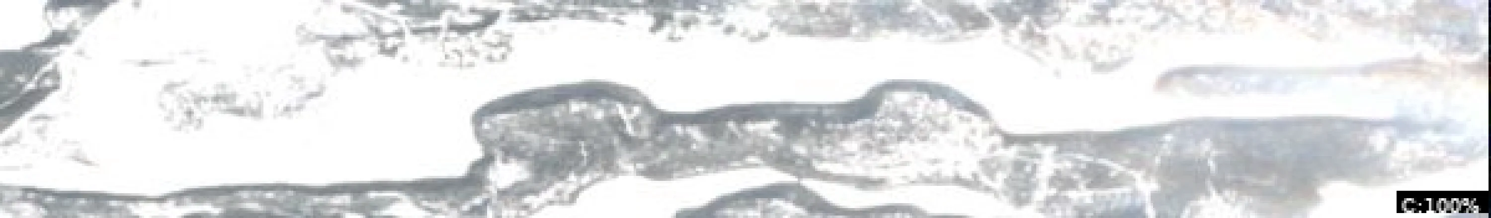 Flour Lake