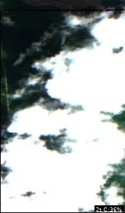 Dora Lake