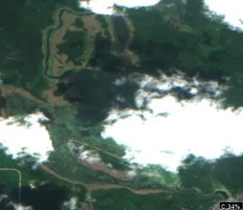 Rice Lake