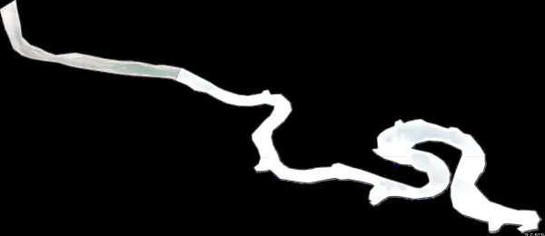 Lake Sharpe satellite view