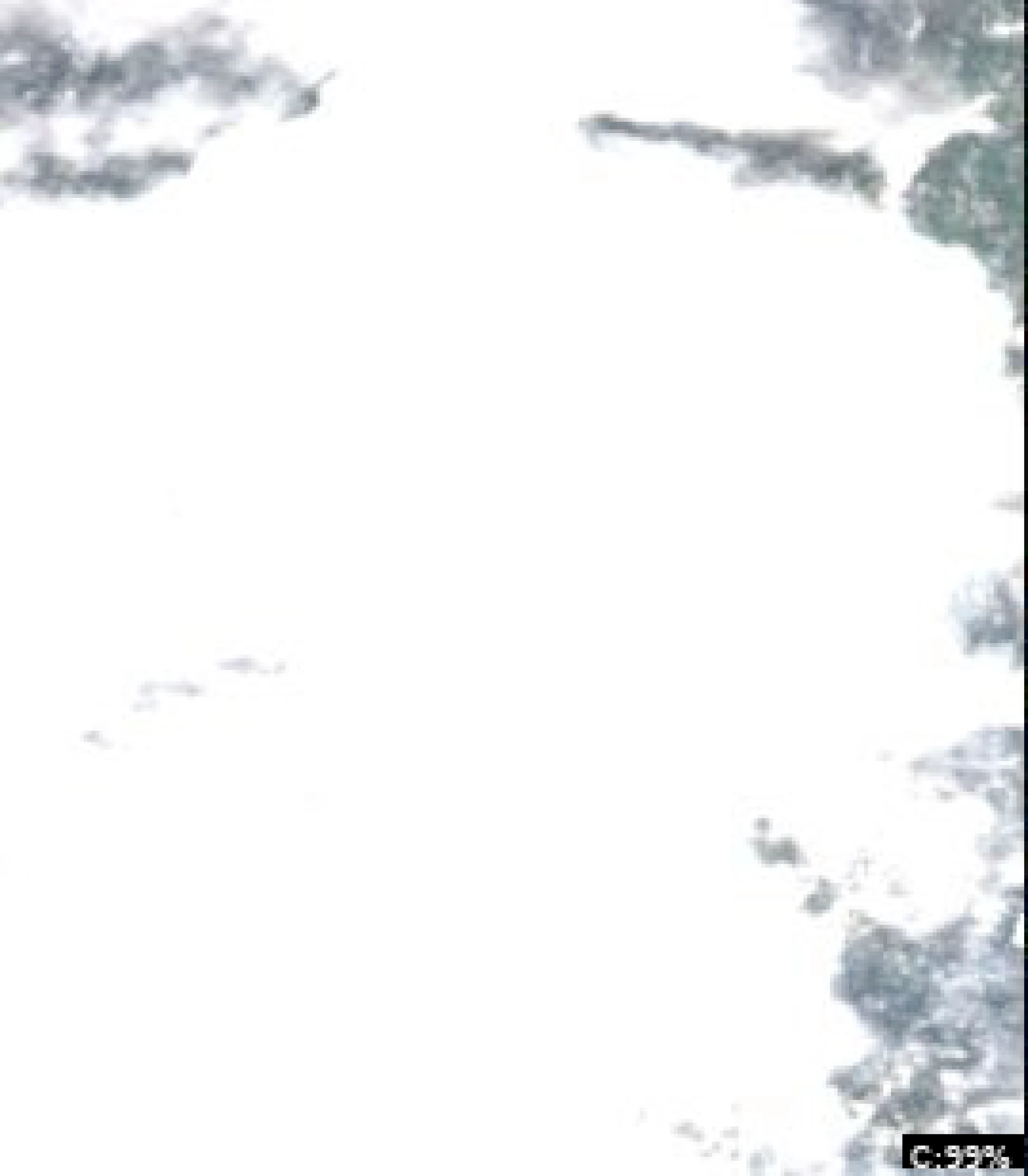 Big Moose Lake