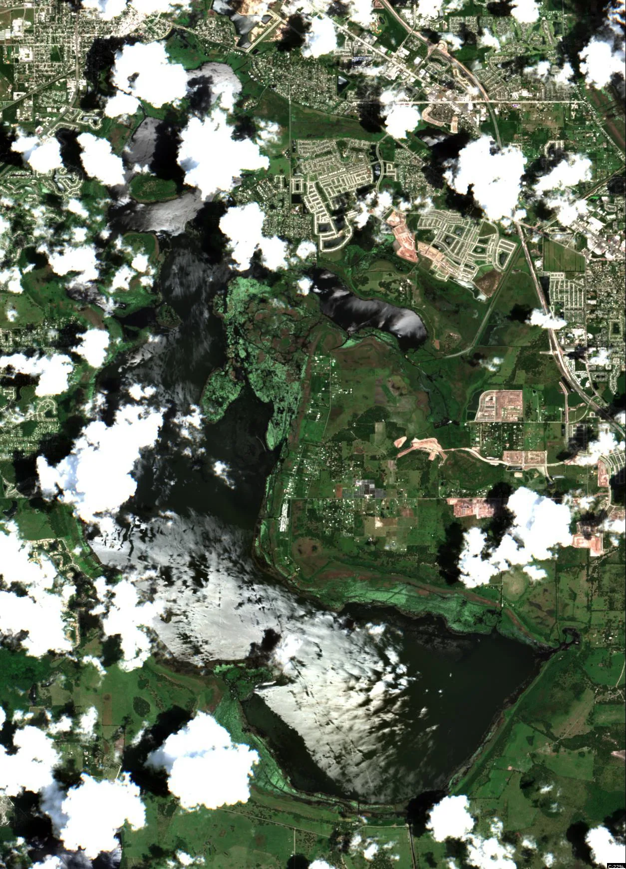 Lake Tohopekaliga