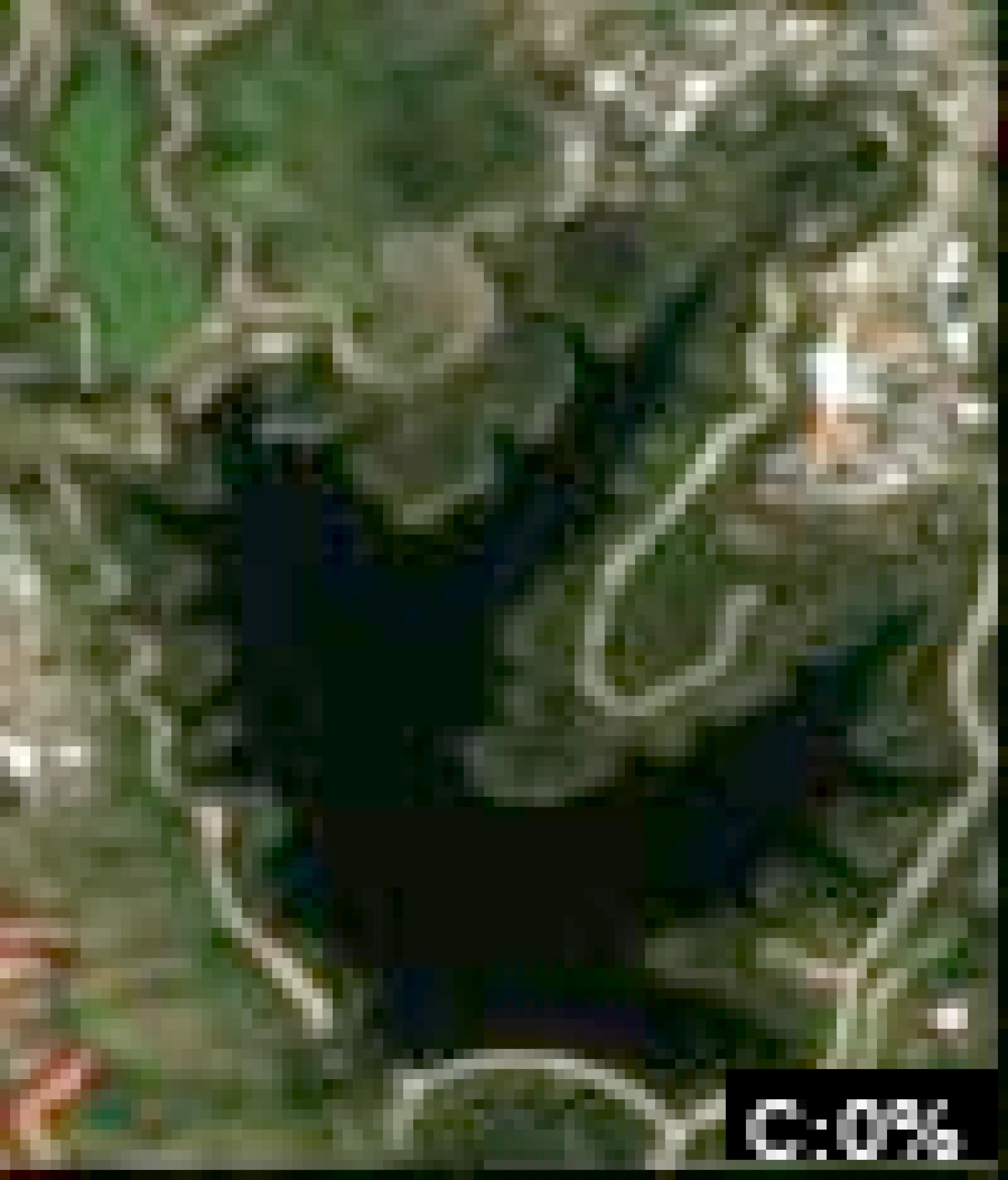 Hollywood Reservoir