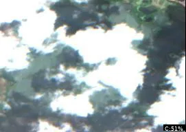 Mineral Lake