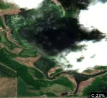 Rice Lake