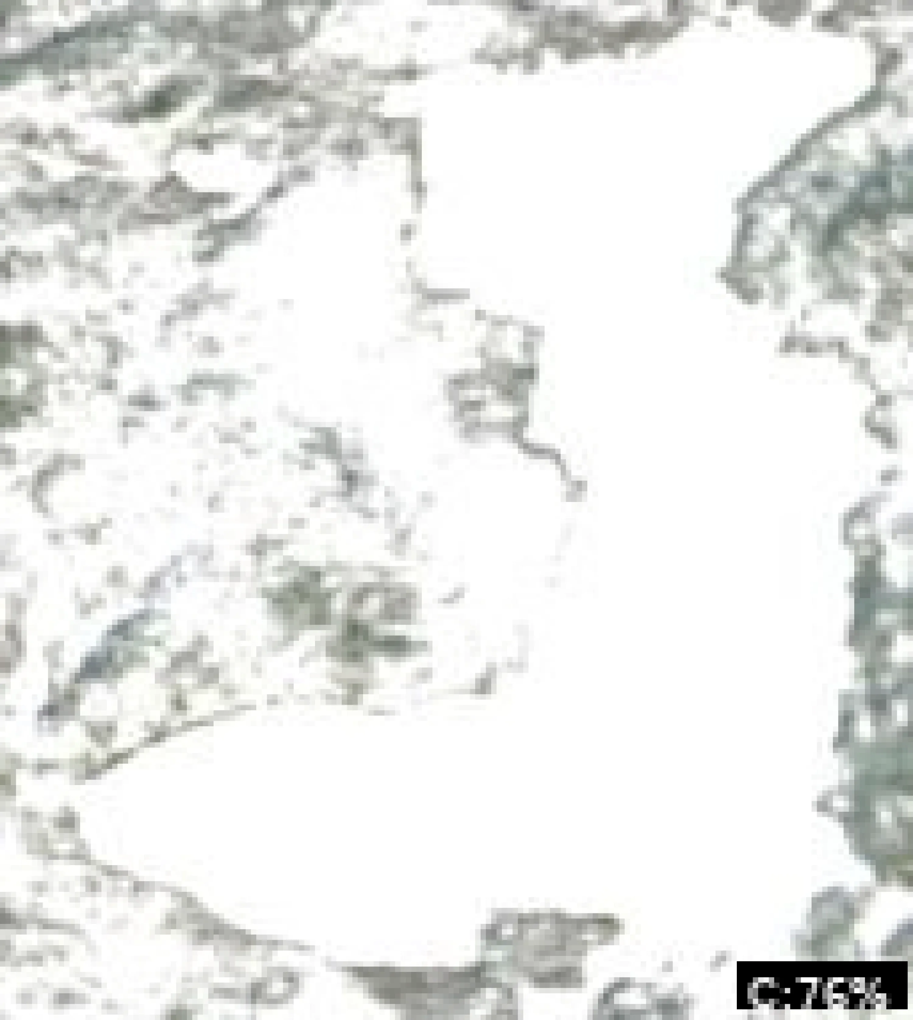 Bootleg Lake