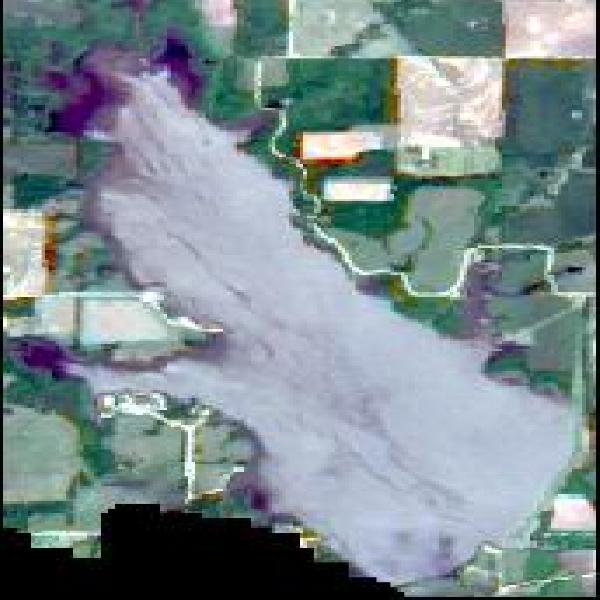 Lake Parsons, KS water temperature, information and forecast