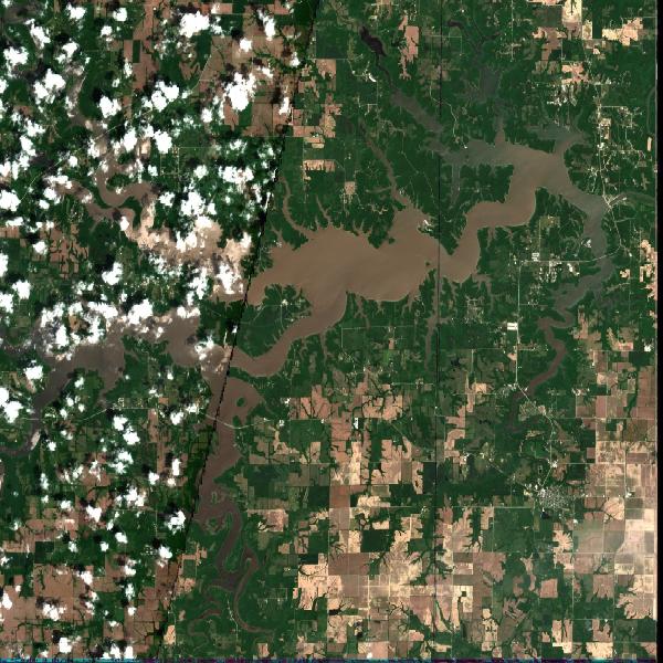 Mark Twain Lake, MO water temperature, information and forecast